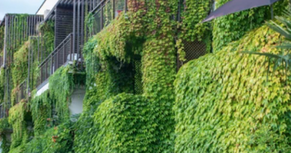 Apartment building block covered in green plants and nature