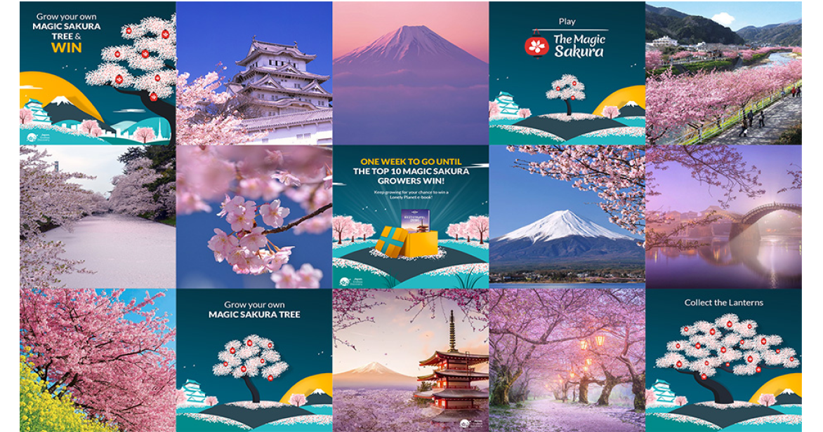 A 3x5 grid of images featuring a mix of campaign graphics and stunning real-life photography of cherry blossoms across Japan.