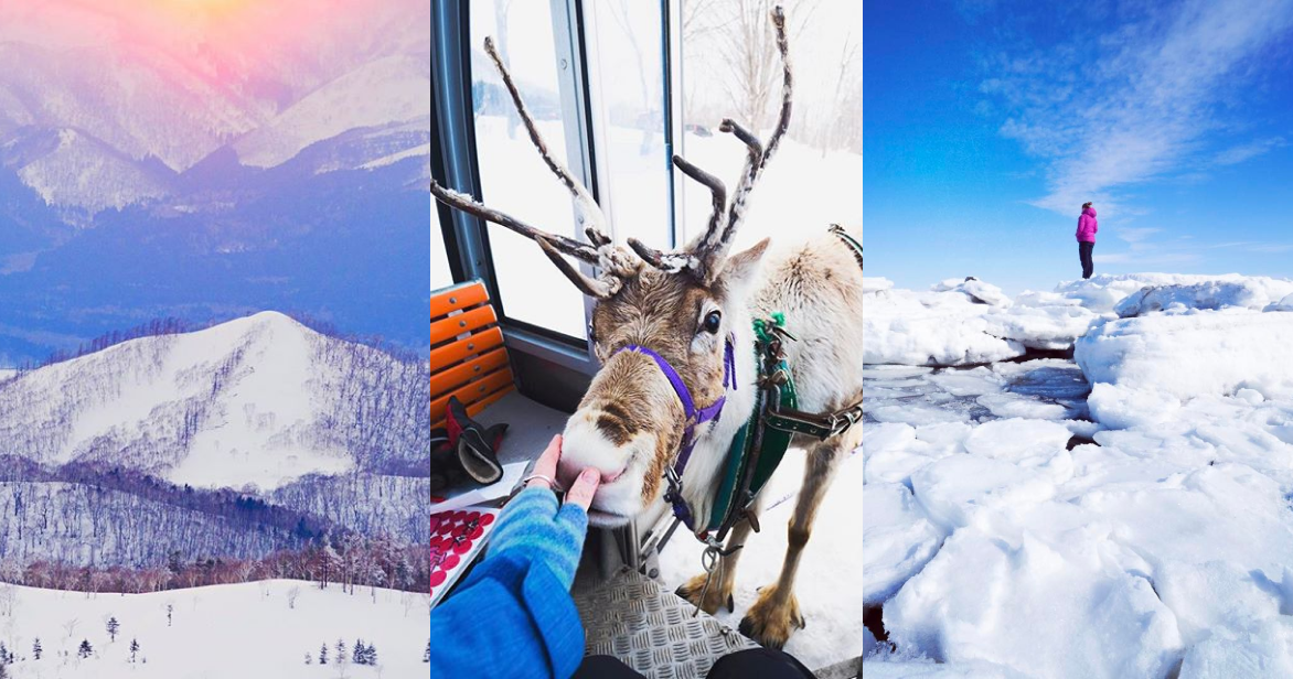 A collage of three winter travel scenes: a snow-capped mountain ridge, a close-up of a person petting a reindeer in the snow, and a traveler standing on drift ice under a clear blue sky.